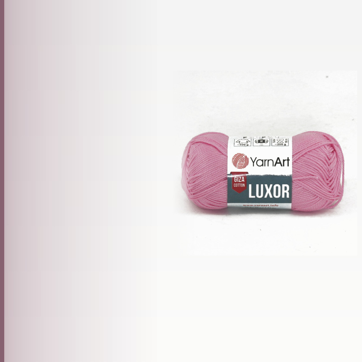 Luxor, роза