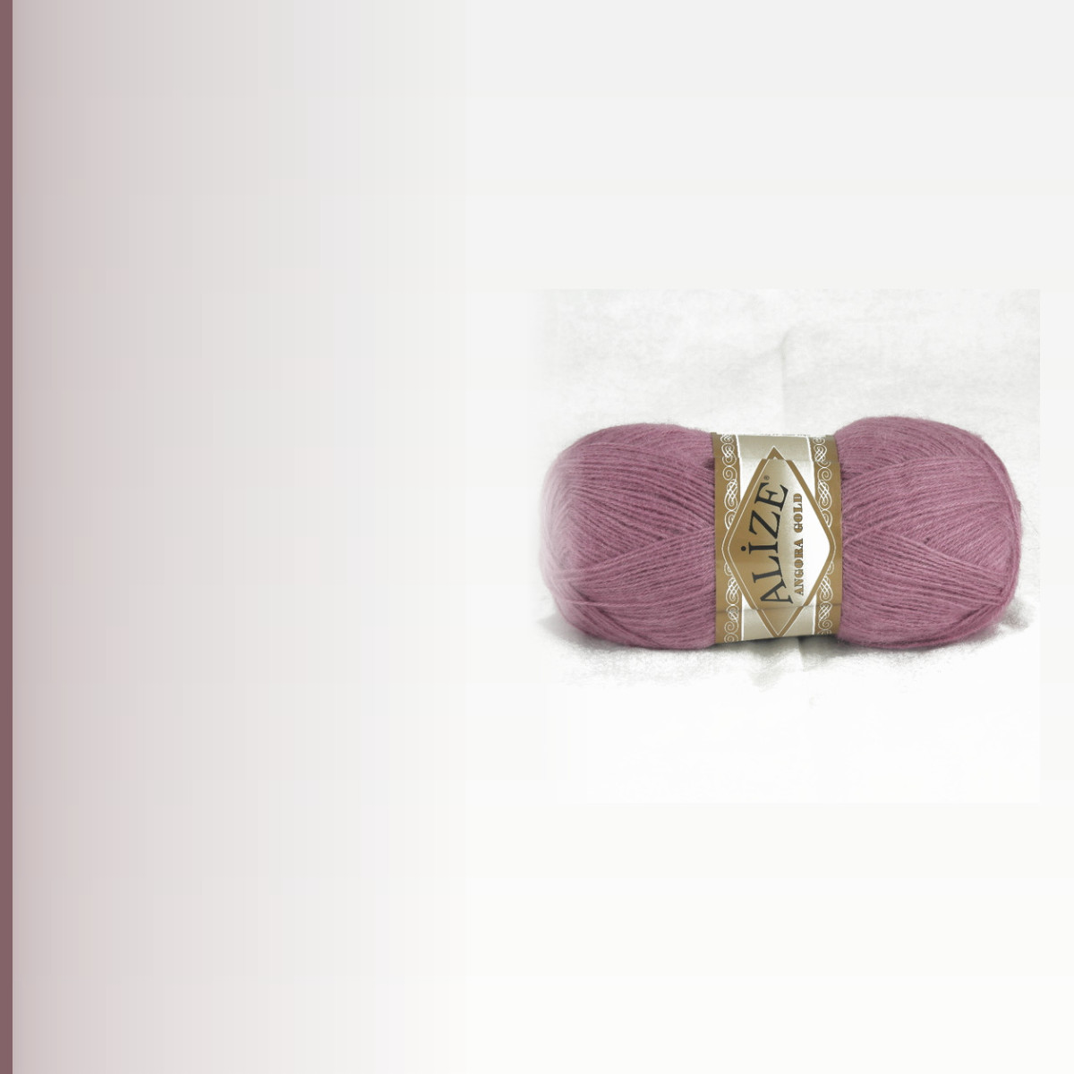 Angora Gold, орхидея