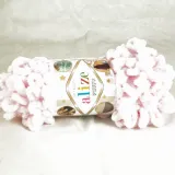 светлая астра