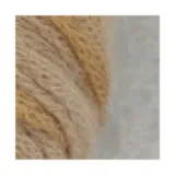 зол.пес