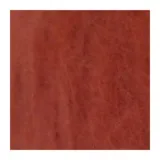 тёмный коралл