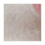 б.роз