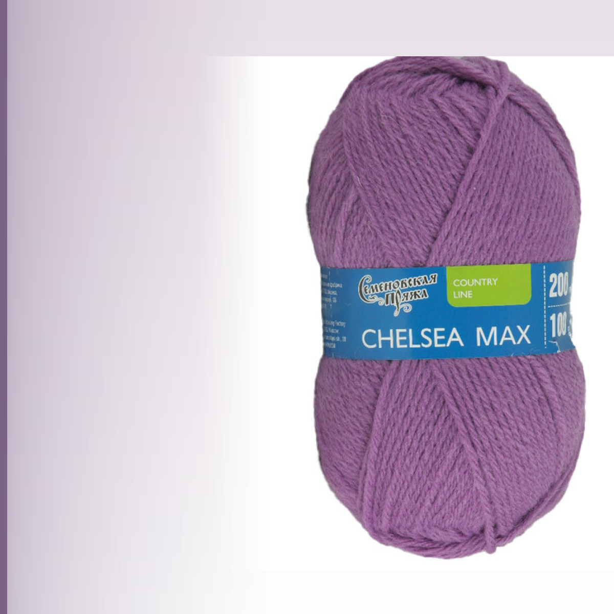 Chelsea (Челси), орхидея