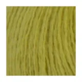 липа