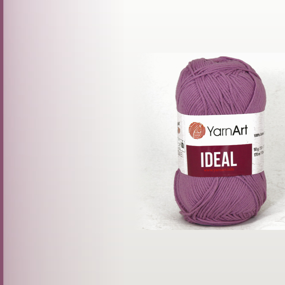 Ideal, светлая орхидея