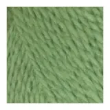 зелёное яблоко