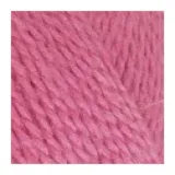 яркий флокс